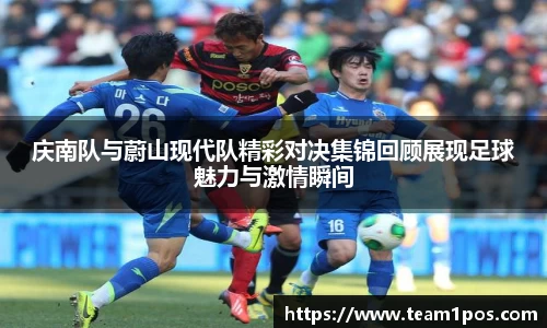 DG视讯官网