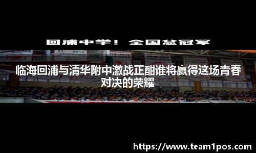 DG视讯官网