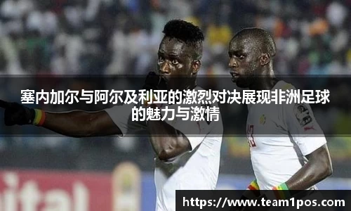 DG视讯平台