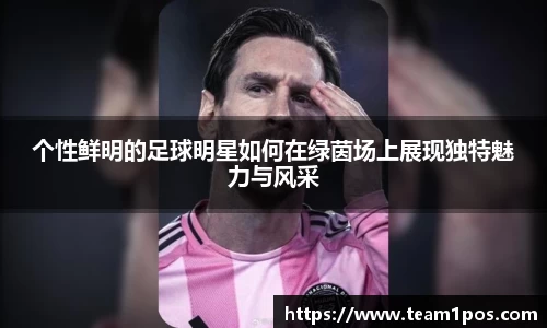 DG视讯官网