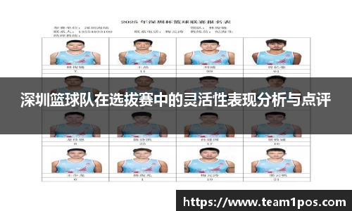 DG视讯