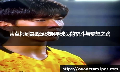从草根到巅峰足球明星球员的奋斗与梦想之路